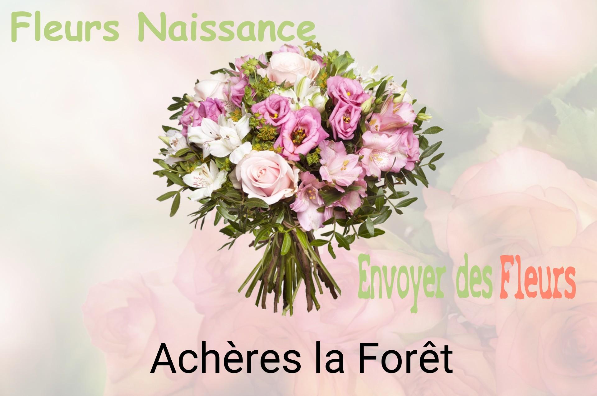 Bouquet de fleurs de naissance livré à Achères-la-Forêt